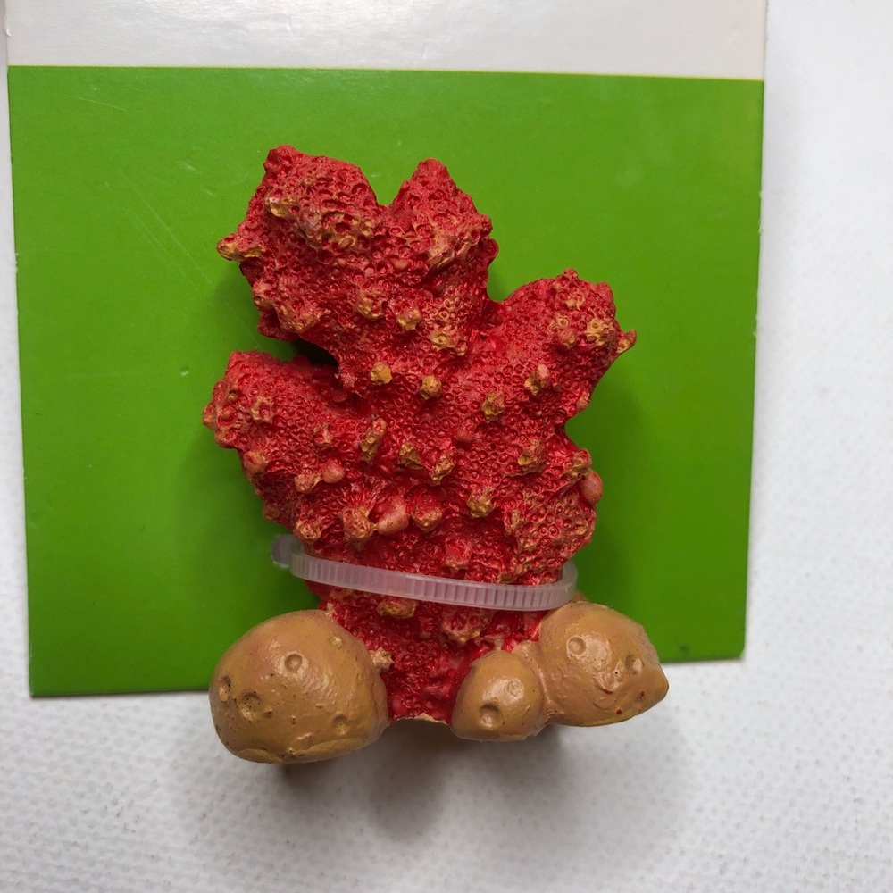 *5/$20* New Nicole’s Woodland Garden Coral